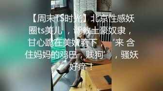 【周末TS时光】北京性感妖圈ts美儿 ，调教土豪奴隶，甘心跪在美妖胯下，‘来 含住妈妈的鸡巴，贱狗’，骚妖 好痒！