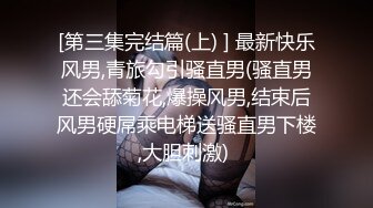 [第三集完结篇(上) ] 最新快乐风男,青旅勾引骚直男(骚直男还会舔菊花,爆操风男,结束后风男硬屌乘电梯送骚直男下楼,大胆刺激) 