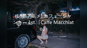 (18禁アニメ) カフェ・ジャンキー 1st.「Caffe Macchiato」