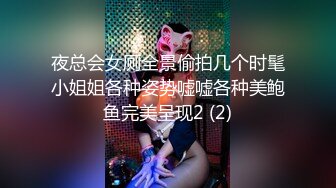 夜总会女厕全景偷拍几个时髦小姐姐各种姿势嘘嘘各种美鲍鱼完美呈现2 (2)