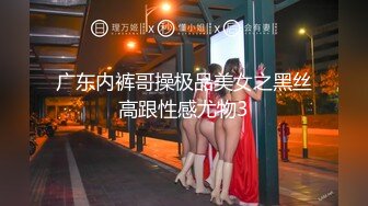 广东内裤哥操极品美女之黑丝高跟性感尤物3