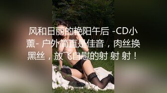 风和日丽的艳阳午后 -CD小薰- 户外简直是佳音，肉丝换黑丝，放飞自慰的射 射 射！