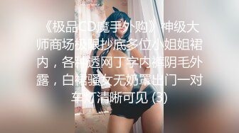 《极品CD魔手外购》神级大师商场极限抄底多位小姐姐裙内，各种透网丁字内裤阴毛外露，白裙骚女无奶罩出门一对车灯清晰可见 (3)