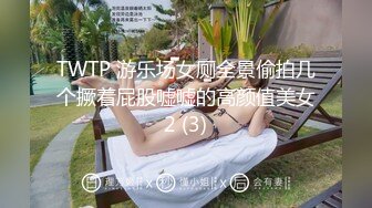 TWTP 游乐场女厕全景偷拍几个撅着屁股嘘嘘的高颜值美女2 (3)